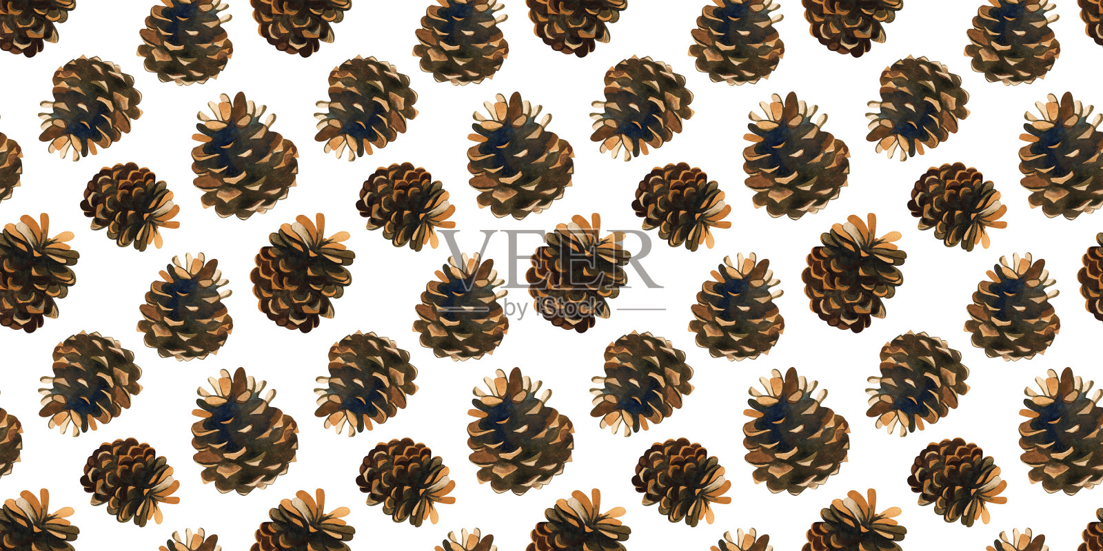 森林锥。松果的无缝图案。针叶树的水彩插图。木本植物。用于背景设计、纺织品、包装插画图片素材