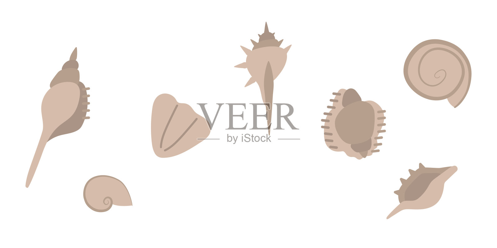 在海滩上发现的一套贝壳。矢量插图在柔和的颜色。插画图片素材