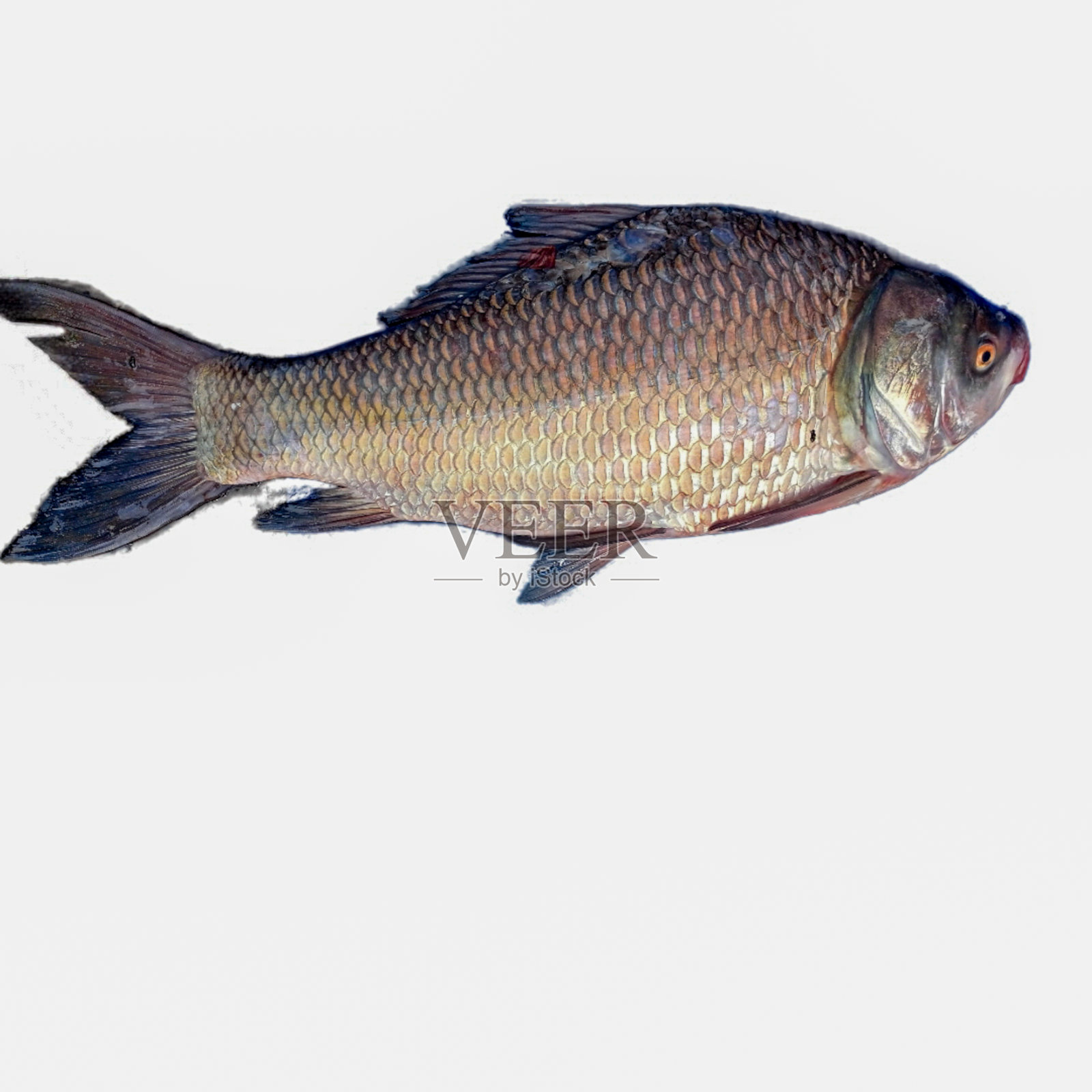 食物照片摄影图片