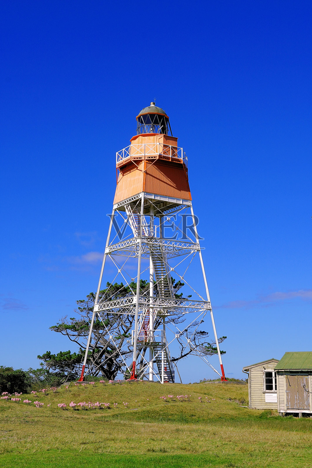 新西兰南岛照片摄影图片