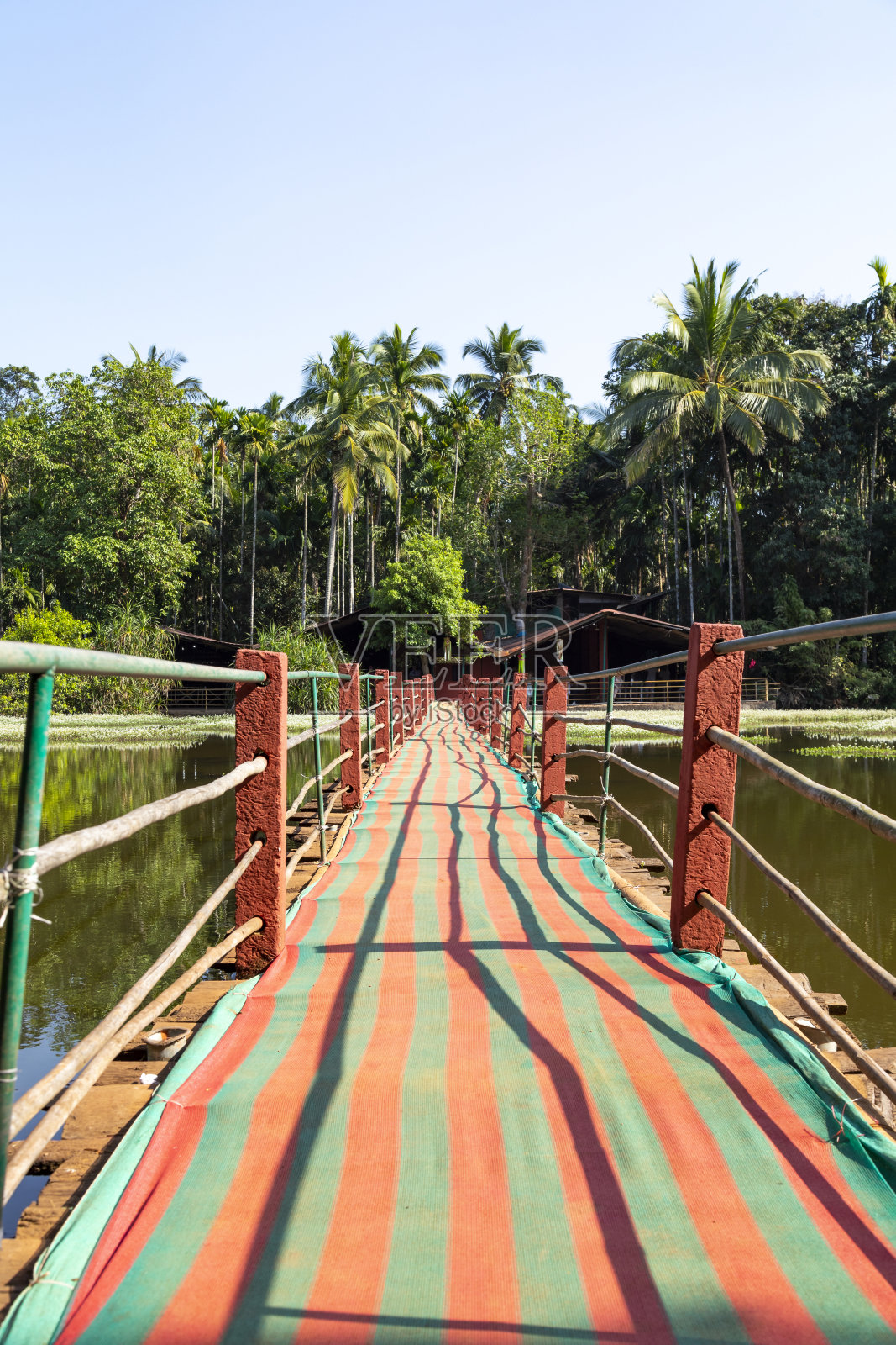 果阿的热带香料农场照片摄影图片