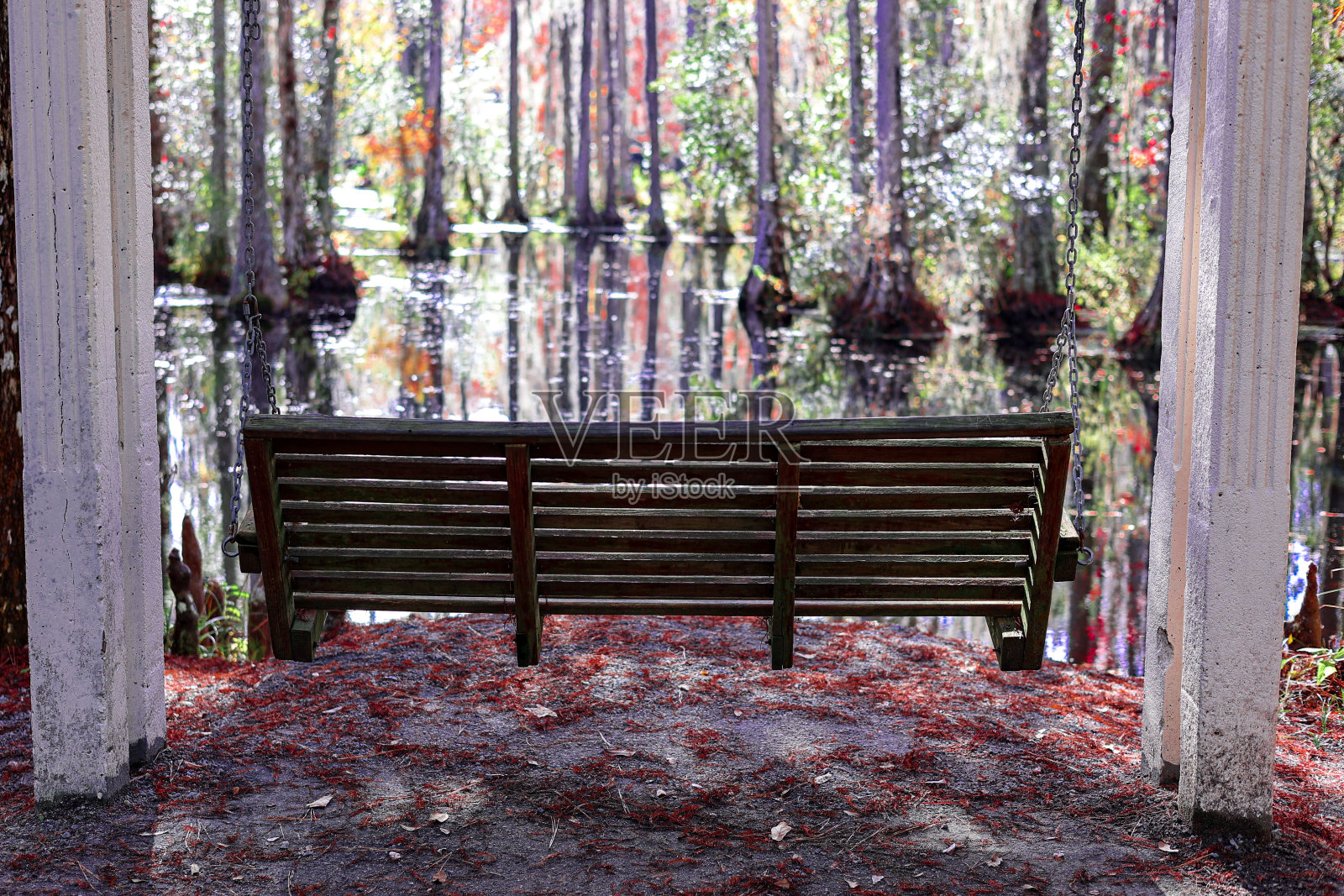 面对沼泽的空木凳照片摄影图片