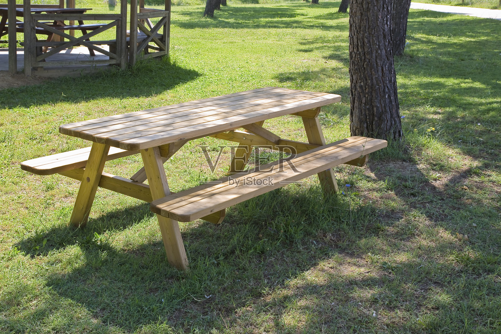 新的空松木野餐桌在绿色草地上的公共公园的树木和树荫照片摄影图片