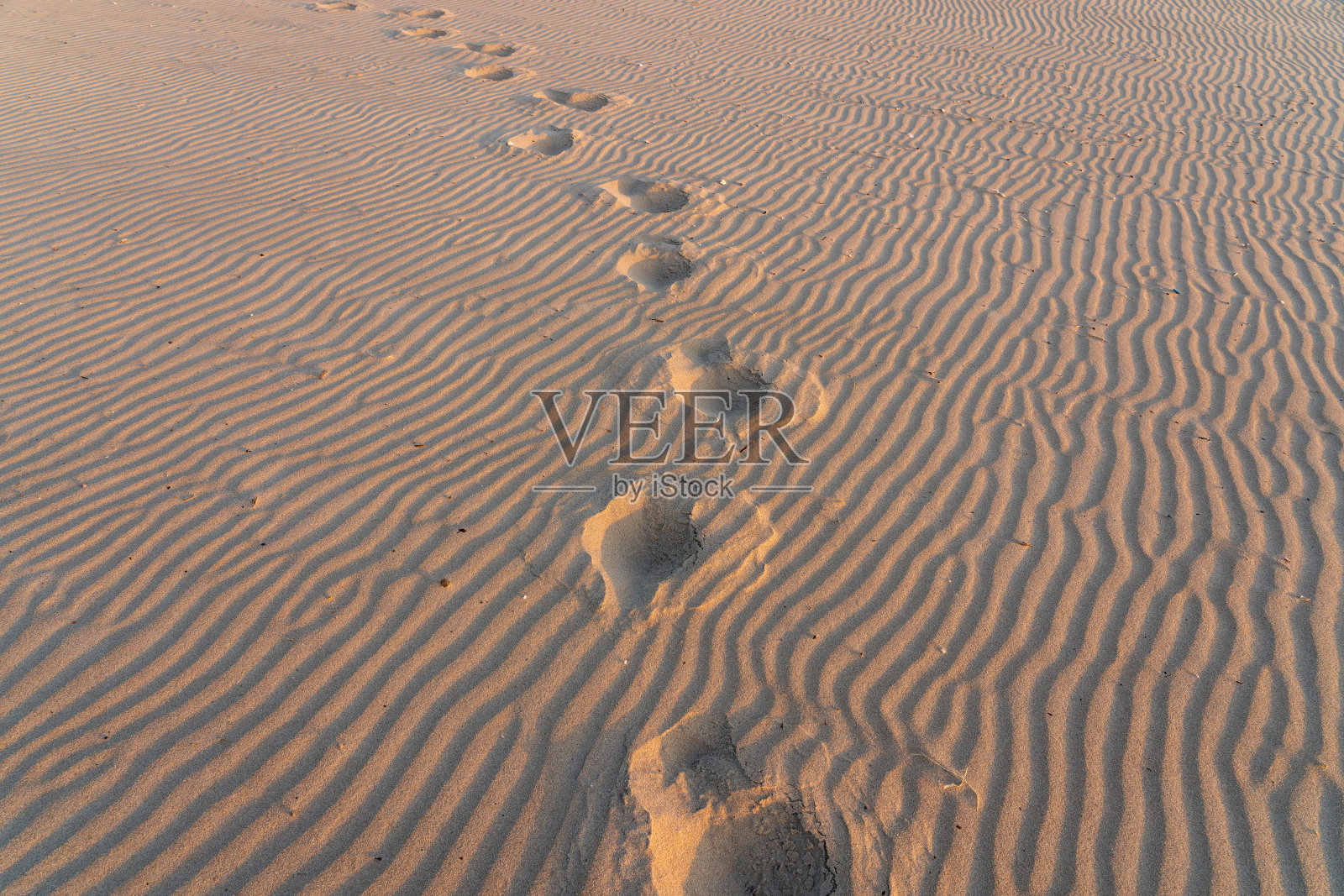 沙滩上的足迹照片摄影图片