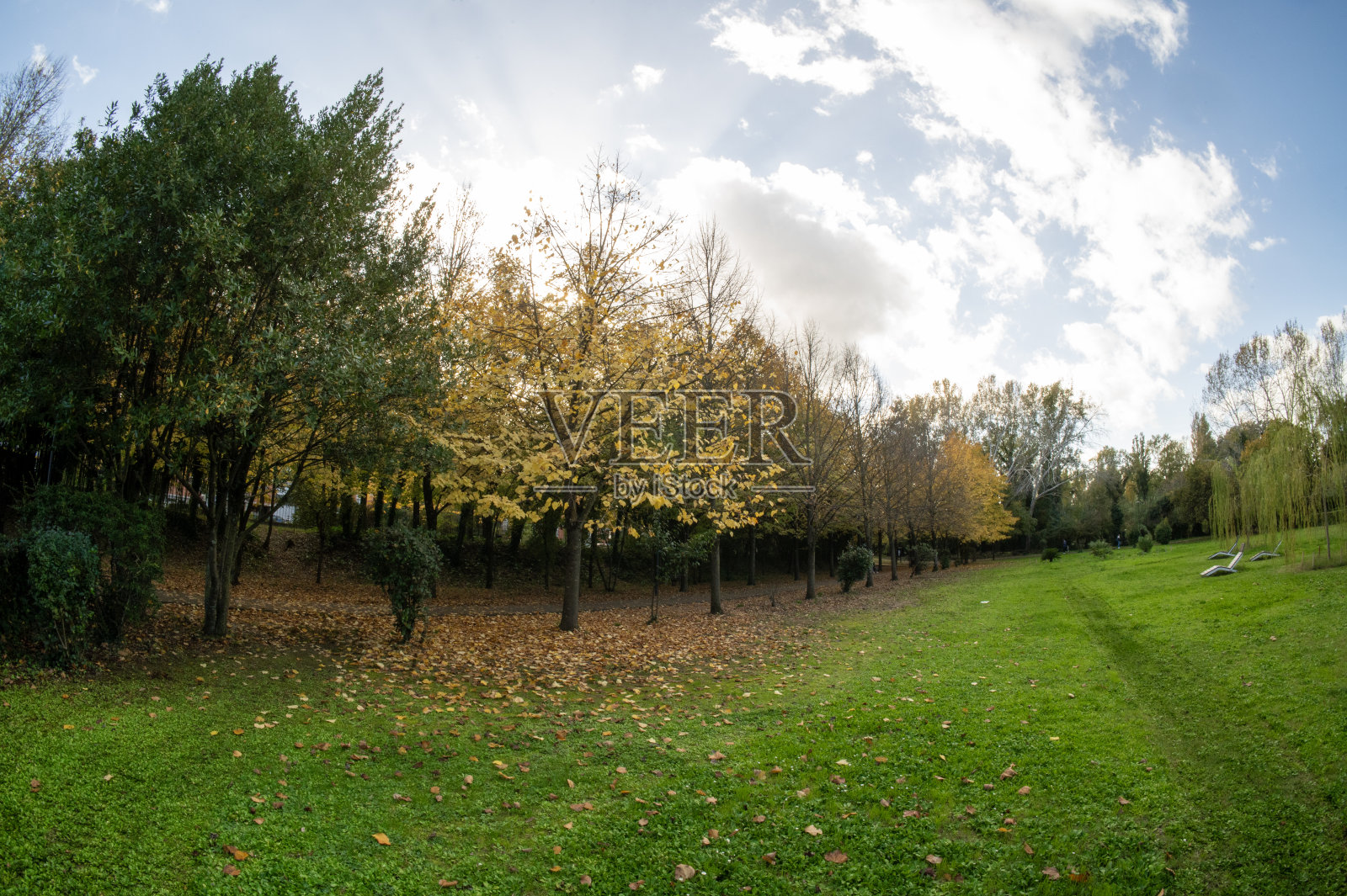秋天的公园照片摄影图片