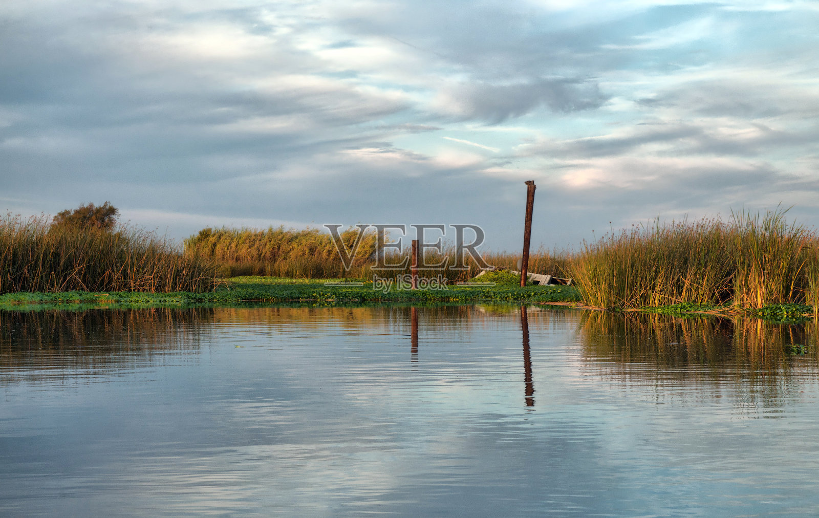 加州三角洲水域照片摄影图片
