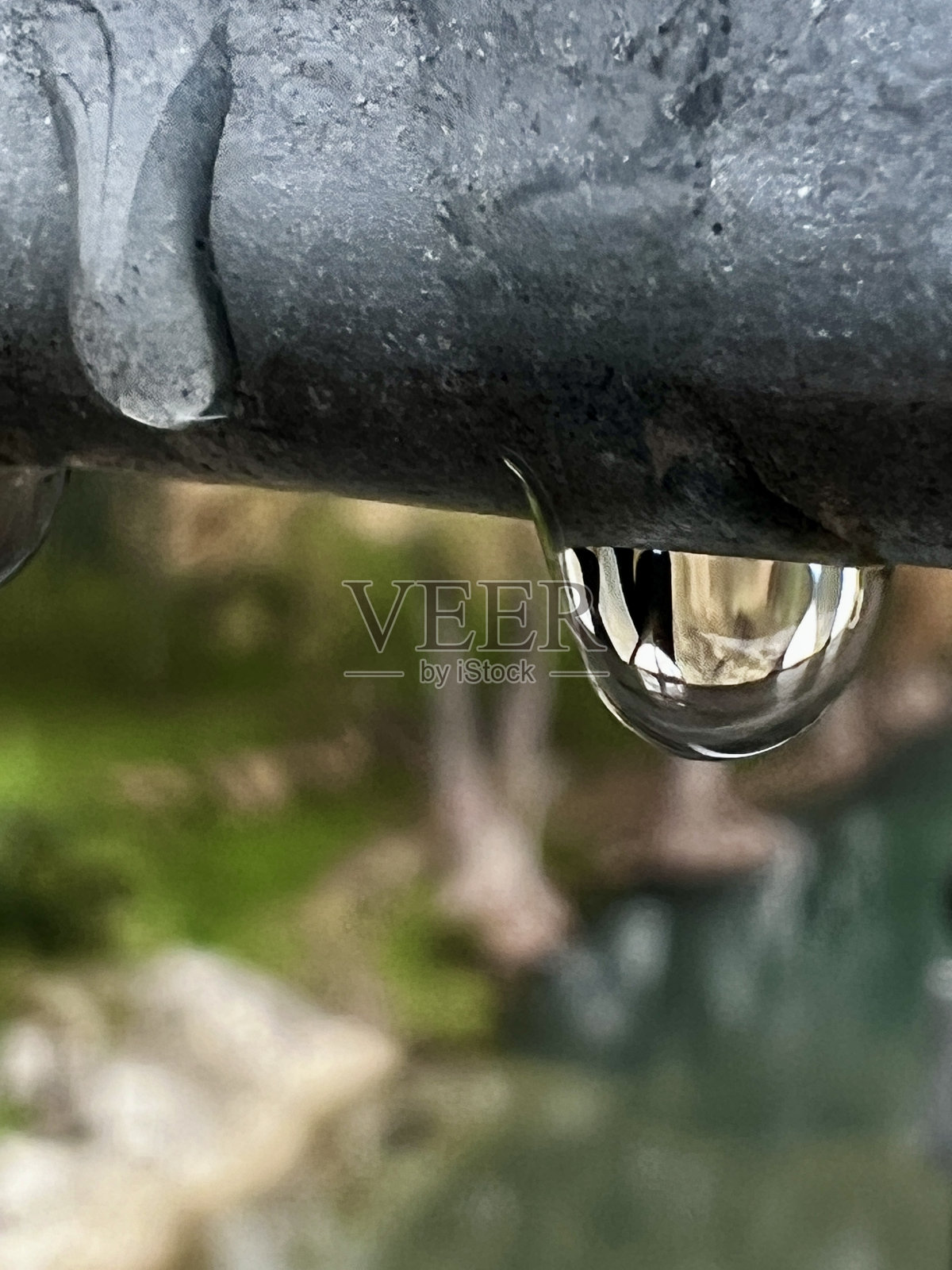 滴照片摄影图片