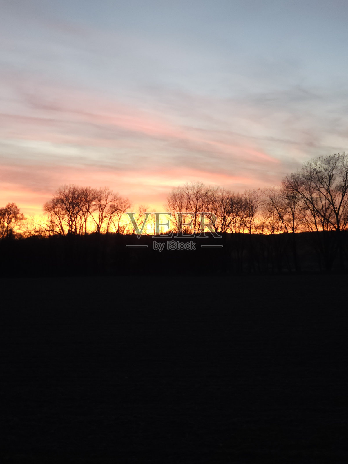 树线日落照片摄影图片