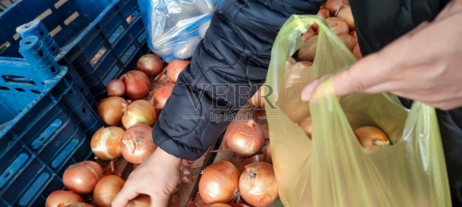 把洋葱放进袋子里照片摄影图片