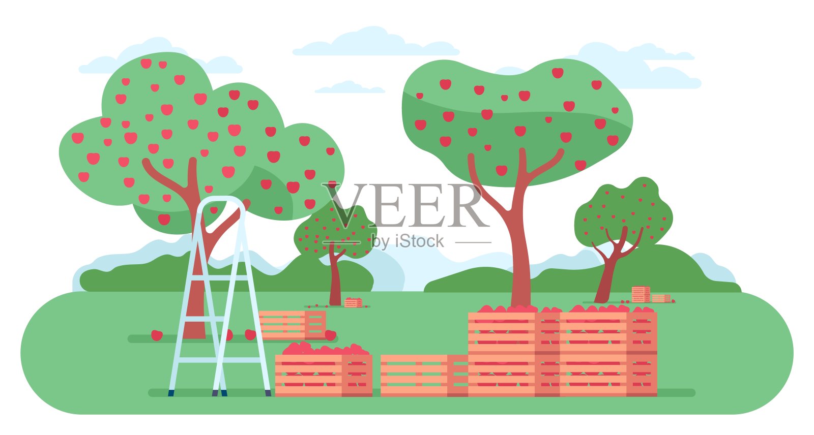 收获季节俯瞰果园的美景。苹果树。梯子和木箱。摘水果。作物收获。花园景观。农业植物。向量的概念插画图片素材