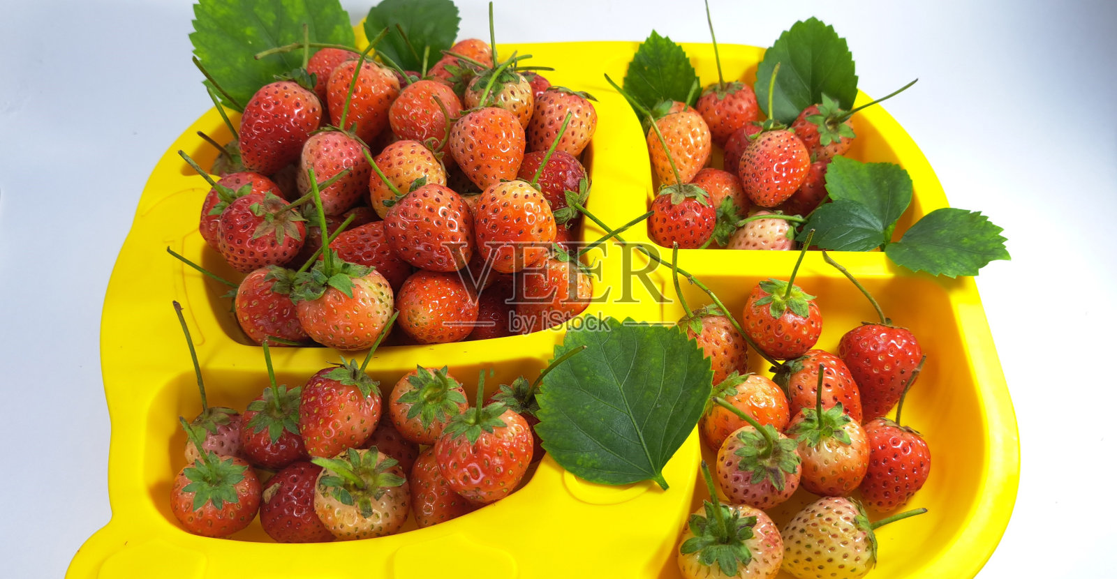 小草莓图片照片摄影图片