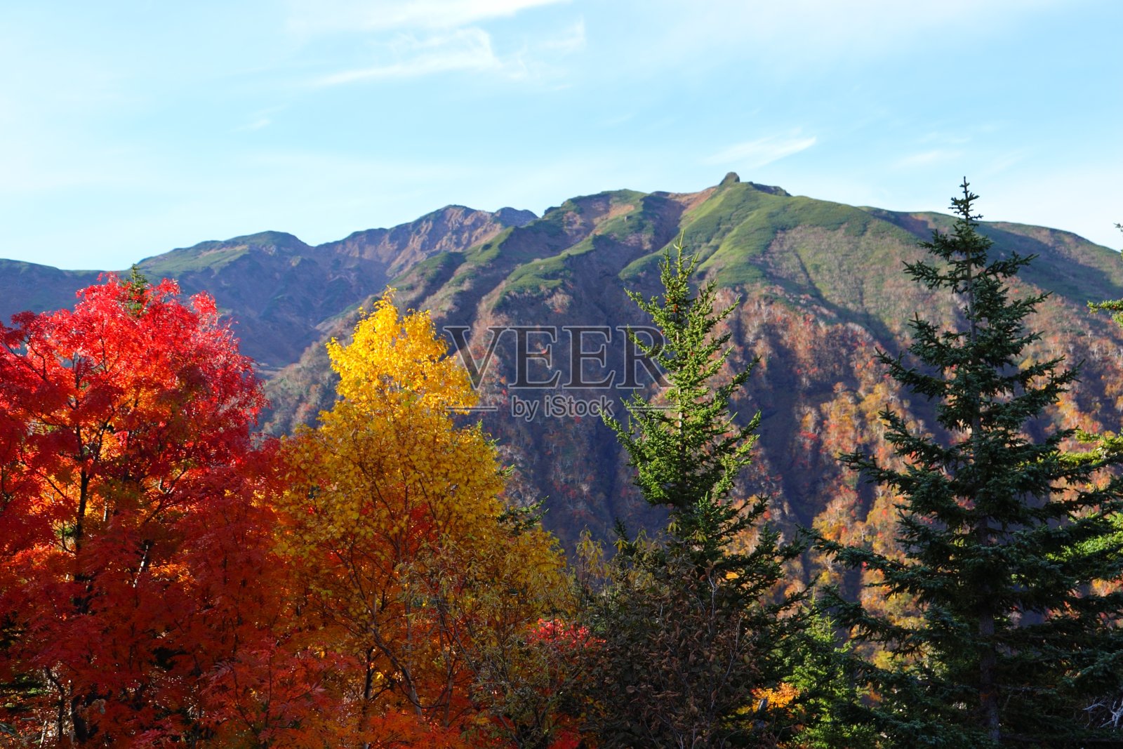 四方照片摄影图片