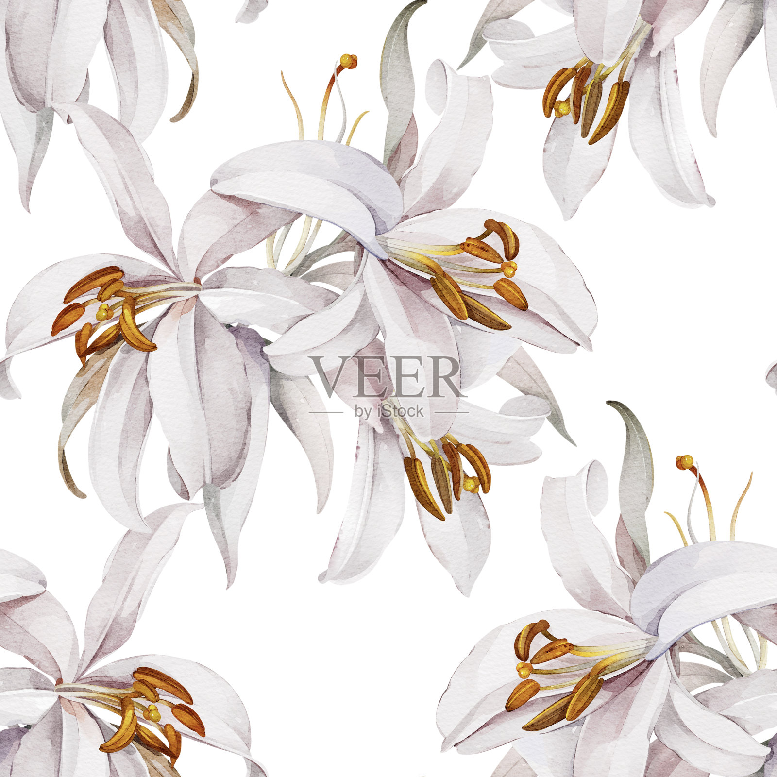 无缝图案与白色百合在水彩风格插画图片素材