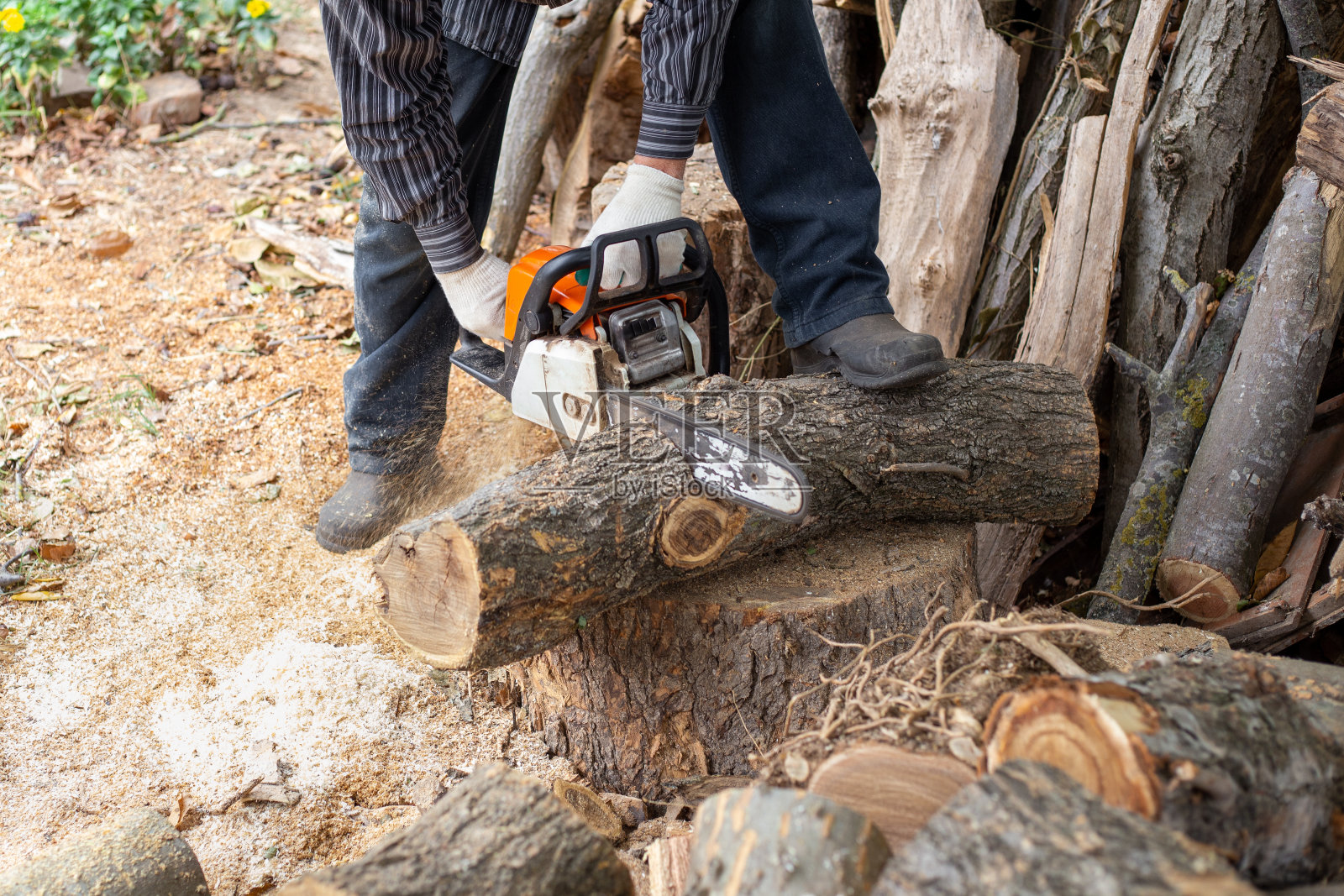一个男人用链锯锯木头。准备过冬的柴火给房子取暖照片摄影图片