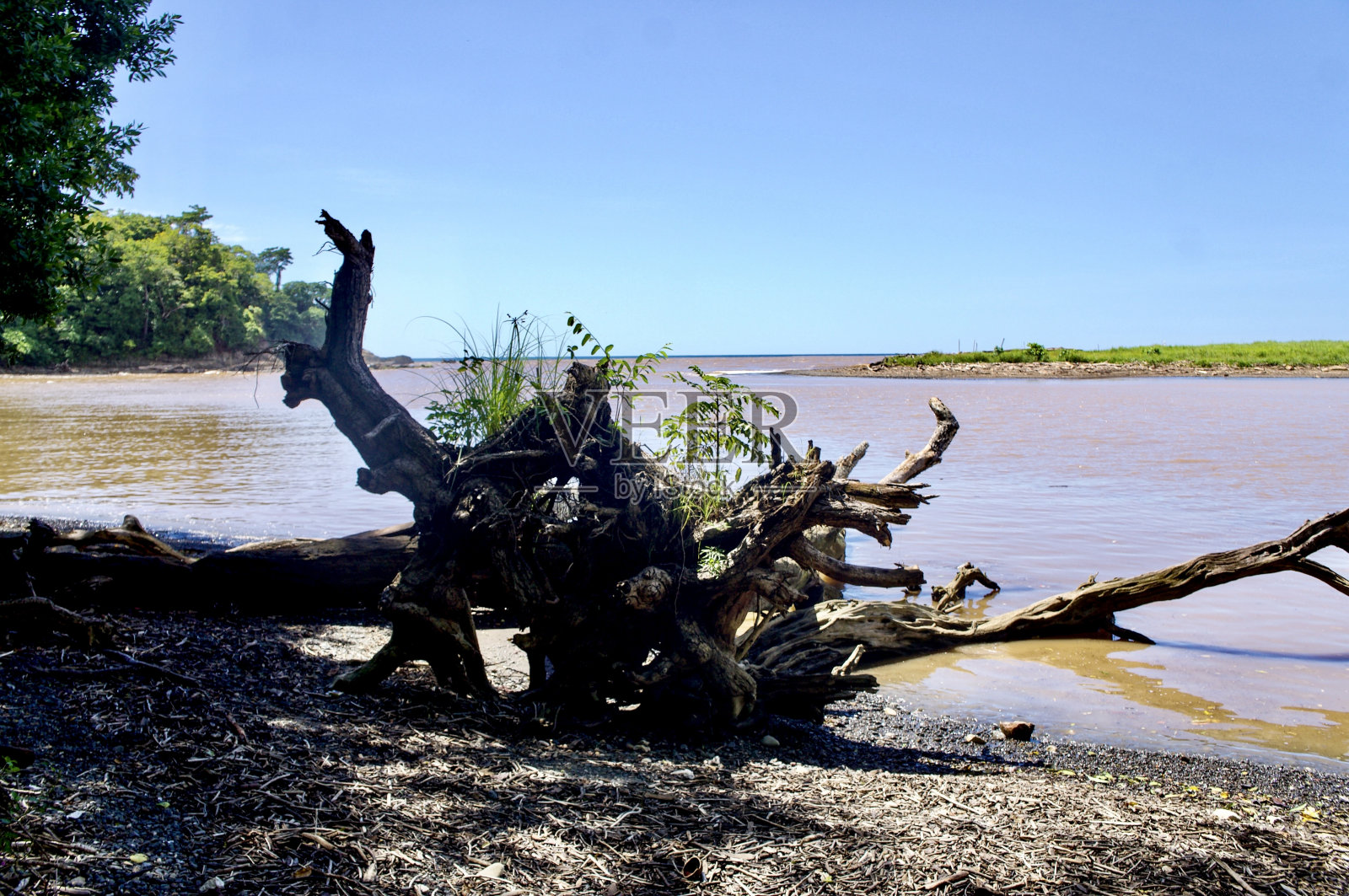 瓜那卡斯特省Nosara生物保护区。照片摄影图片