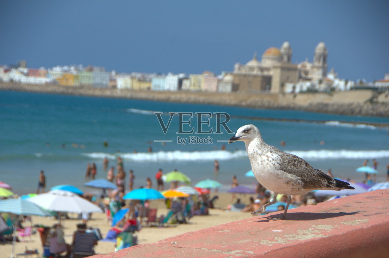 加的斯照片摄影图片