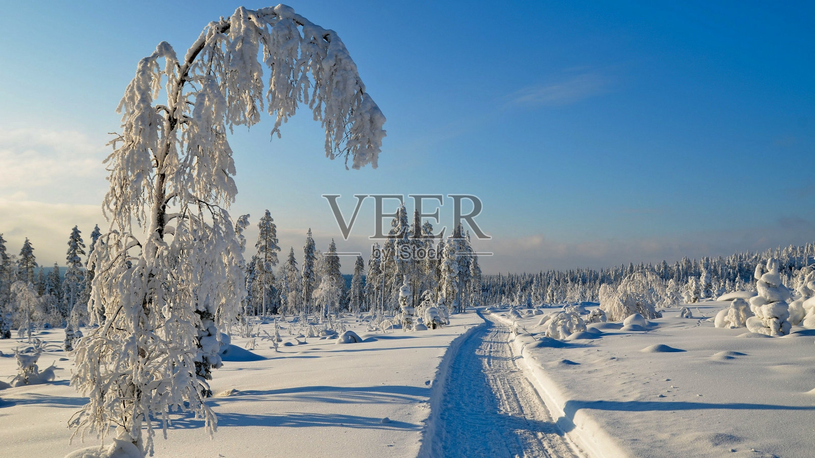 路回家照片摄影图片