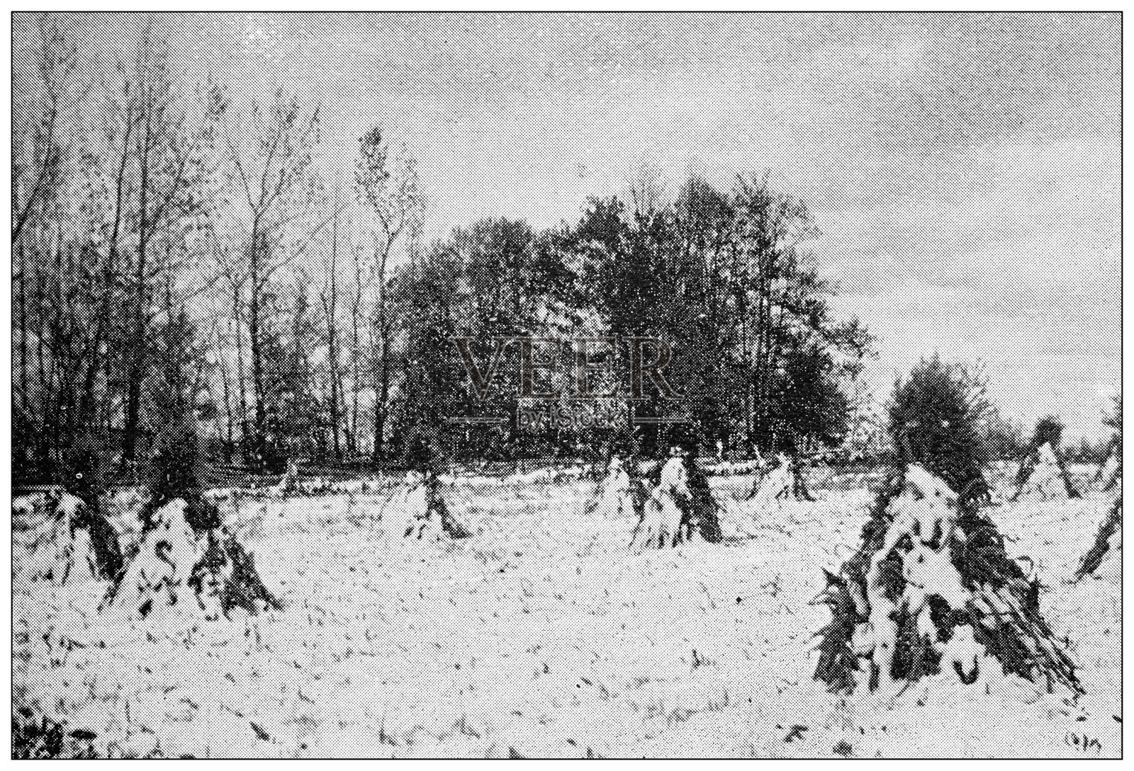 汉普顿县，马萨诸塞州的古董图像:冬天的玉米地插画图片素材