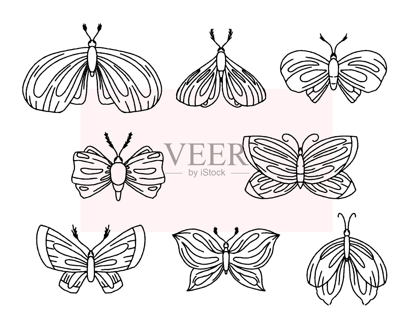 一组矢量昆虫飞蛾，插图线条风格，涂鸦矢量。分离蝴蝶收集。插画图片素材