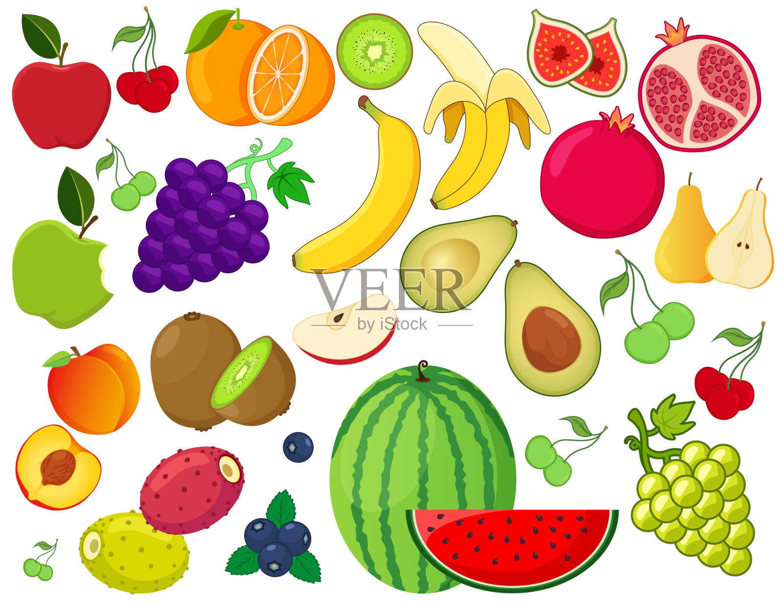 水果插图集。插画图片素材