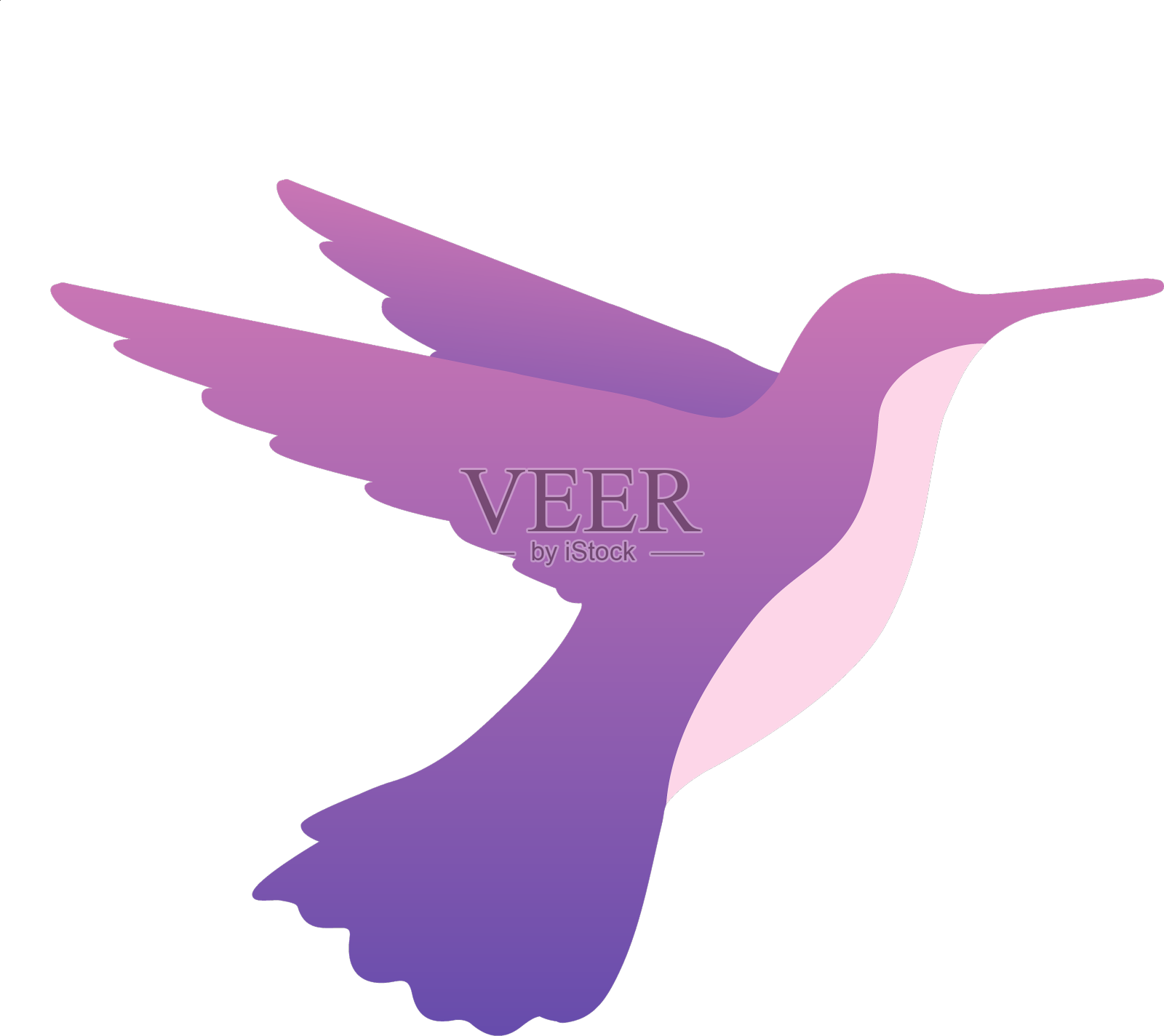 蜂鸟喂食设计元素图片