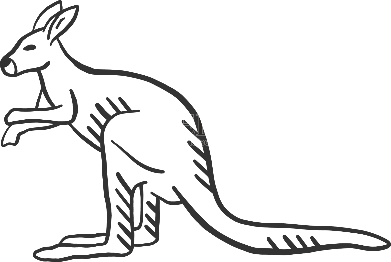 袋鼠耳朵尾巴腿的涂鸦设计元素图片