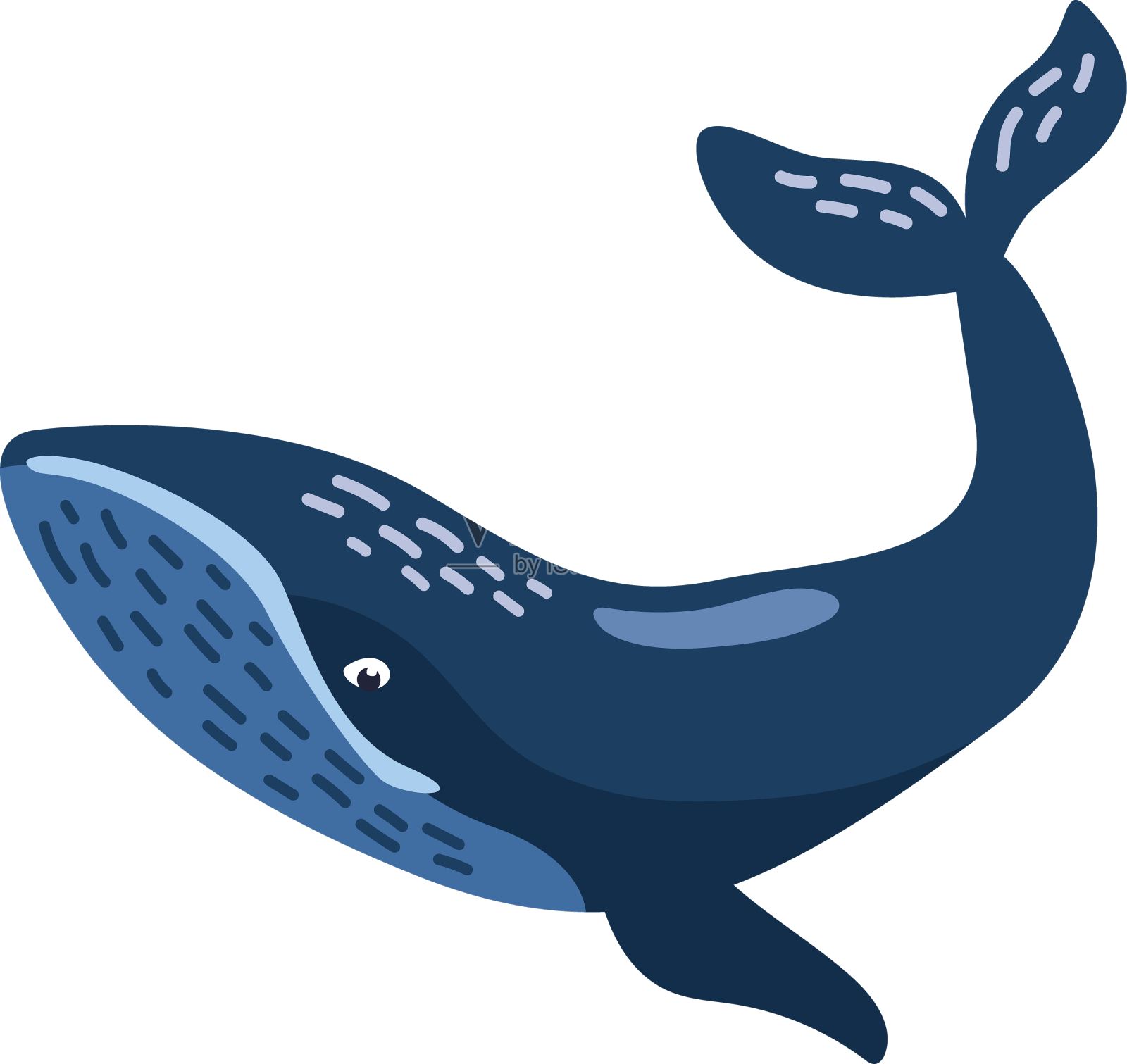 座头鲸的海洋生物很大设计元素图片