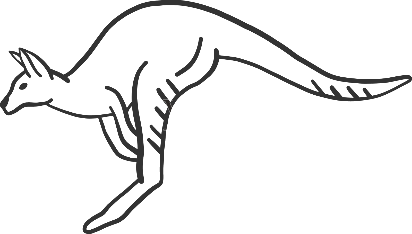 袋鼠尾巴腿耳朵涂鸦设计元素图片