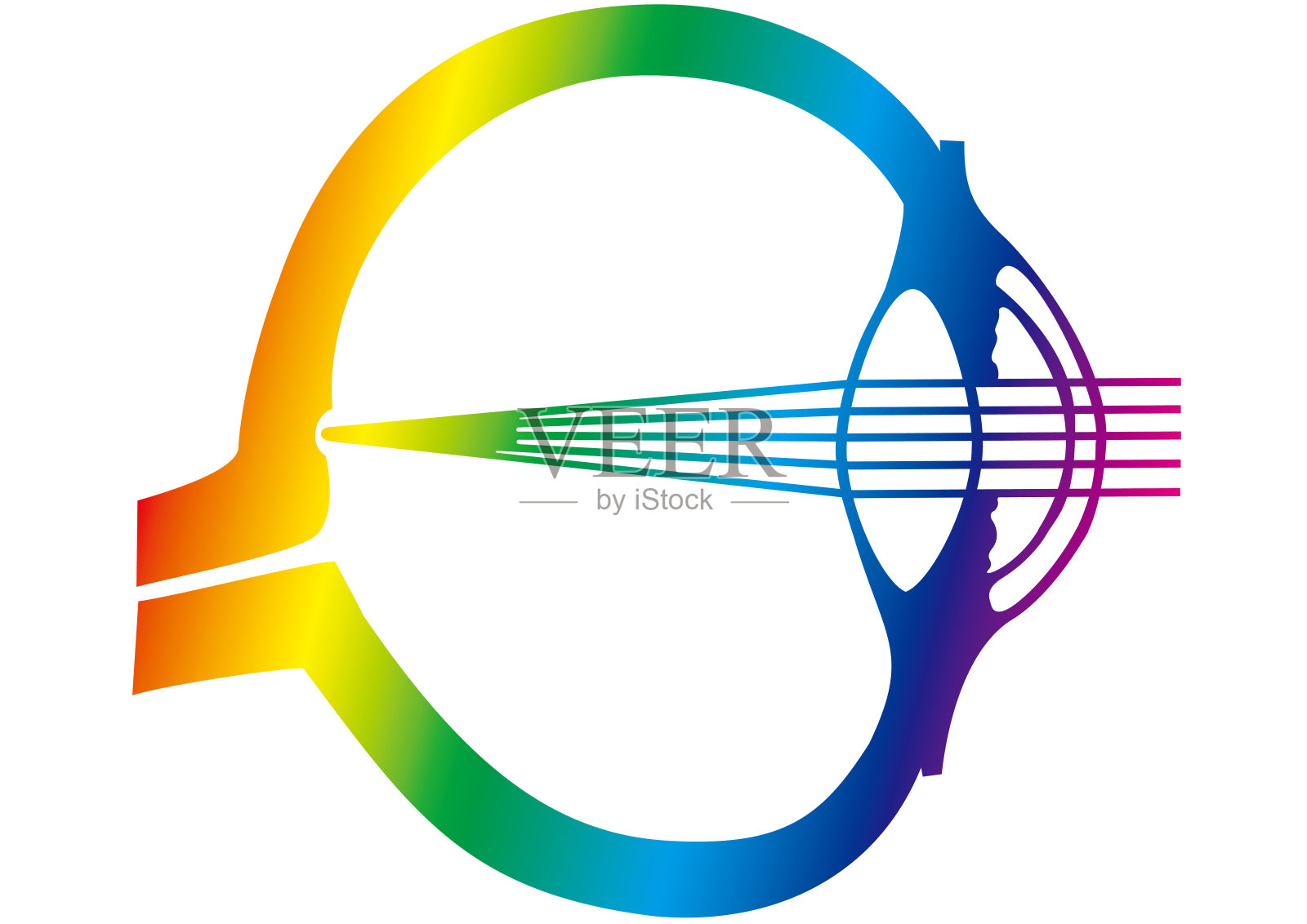 人眼的结构设计插画图片素材