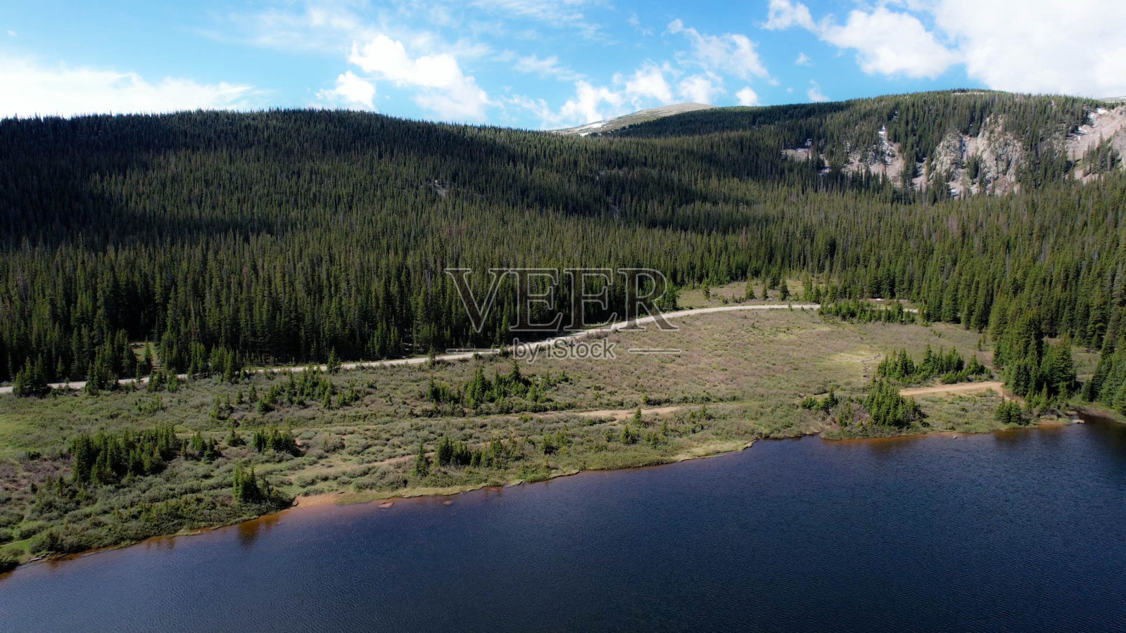 优雅的邂逅:布雷纳德湖的鹿照片摄影图片