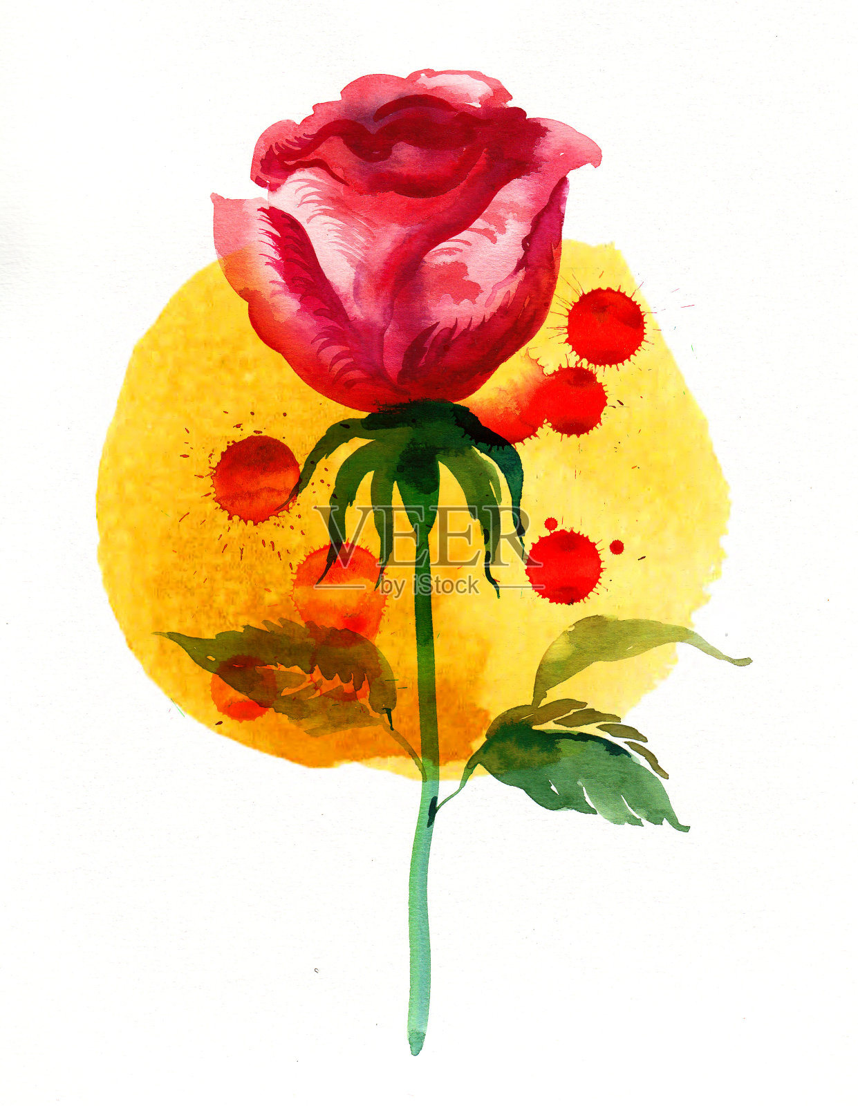 红玫瑰插画图片素材