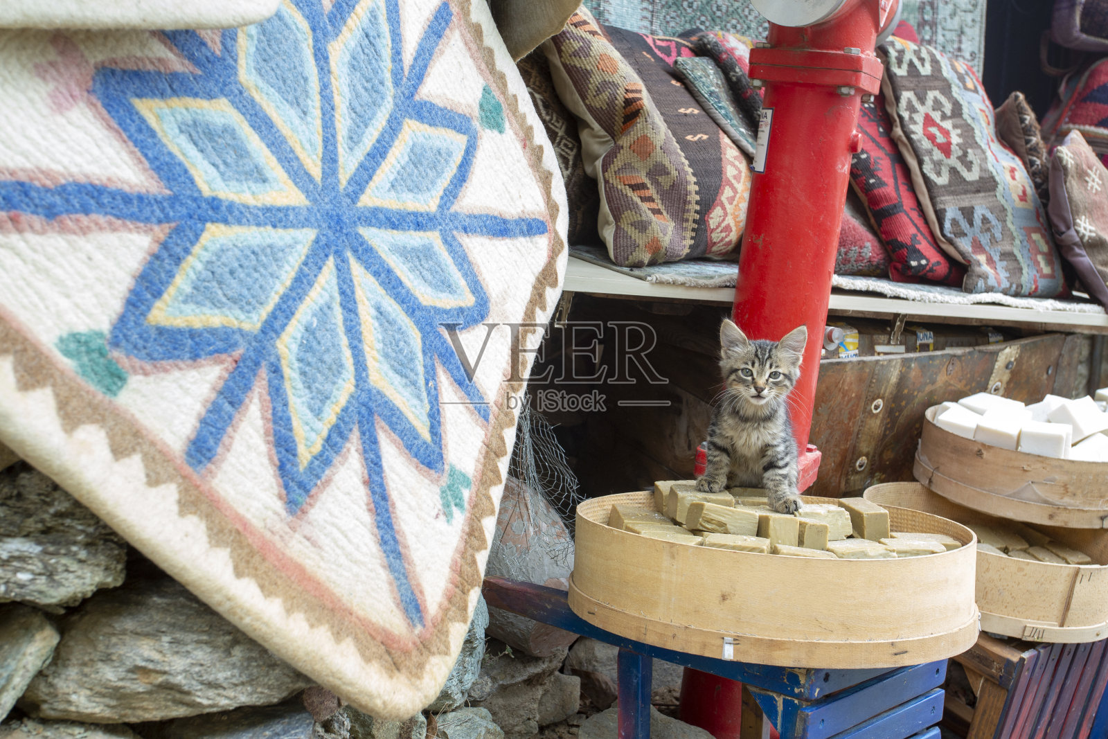 可爱的小猫，Sirince村/伊兹密尔/土耳其照片摄影图片