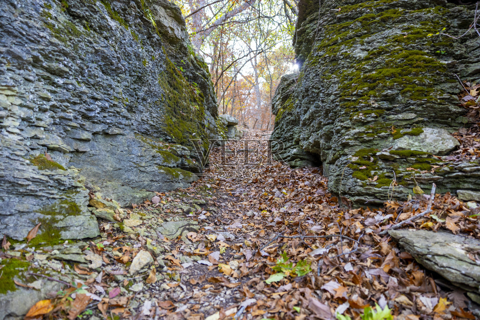 小路上的岩石照片摄影图片
