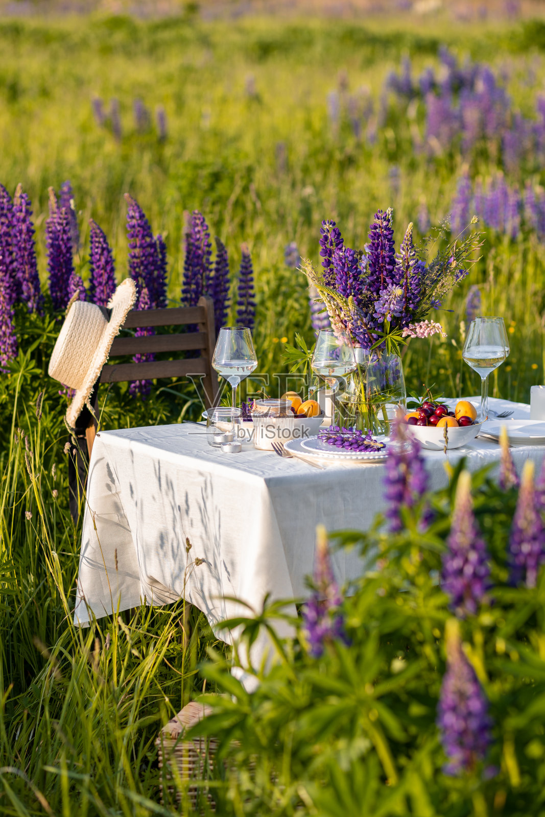 美丽的乡村婚礼浪漫的晚餐装饰在一个盛开的草地与紫色紫罗兰羽扇豆花。花瓶，葡萄酒杯，樱桃和杏。木桌，篮子。日落，黄金时刻，夏天照片摄影图片