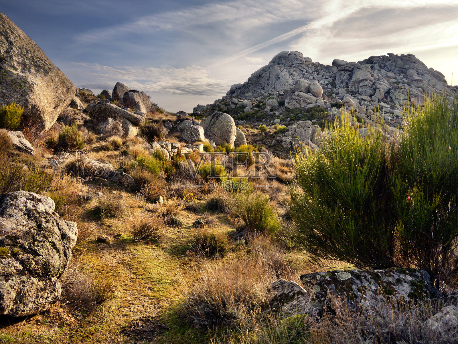 Cerro Cabeza Alta照片摄影图片