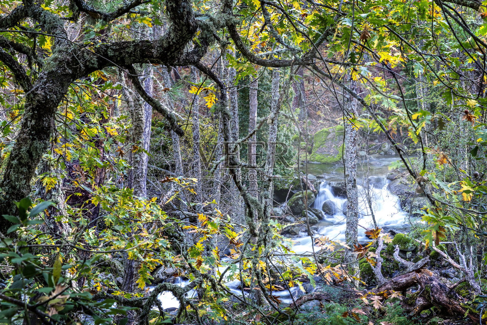 iruela山谷的秋天照片摄影图片