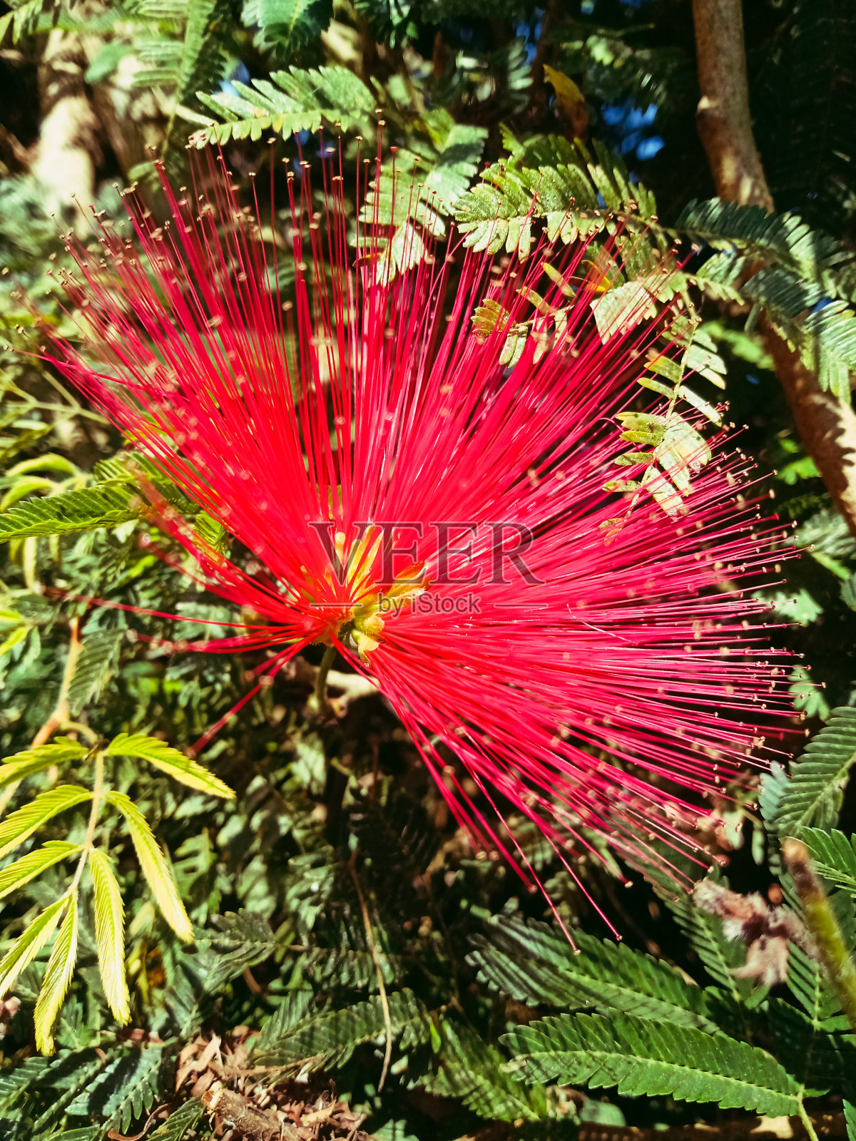 新照片摄影图片