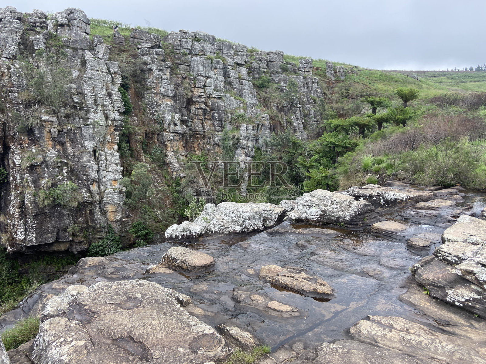 南非的花园路线照片摄影图片
