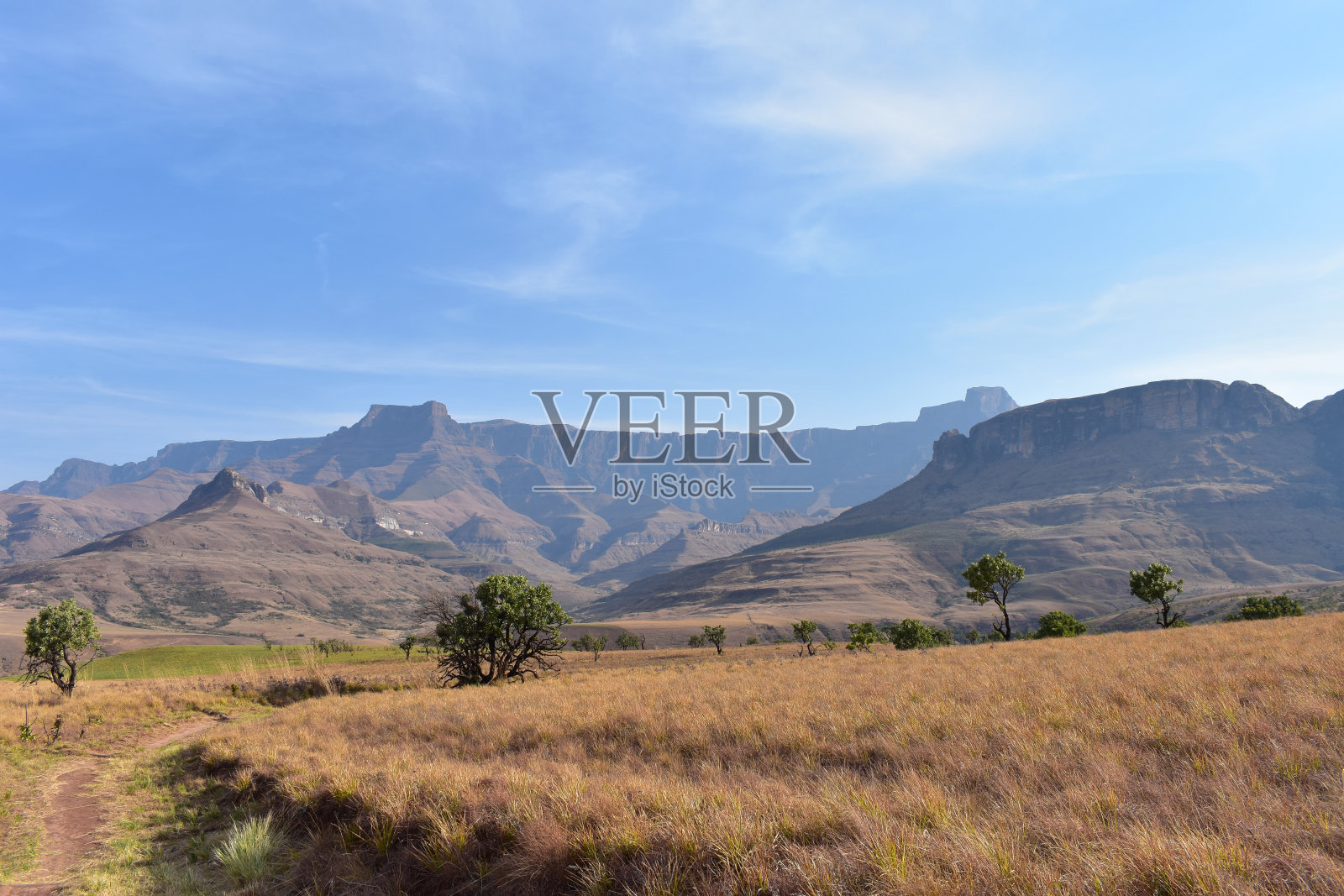 金色的草原映衬着南非南部德拉肯斯堡的圆形剧场照片摄影图片