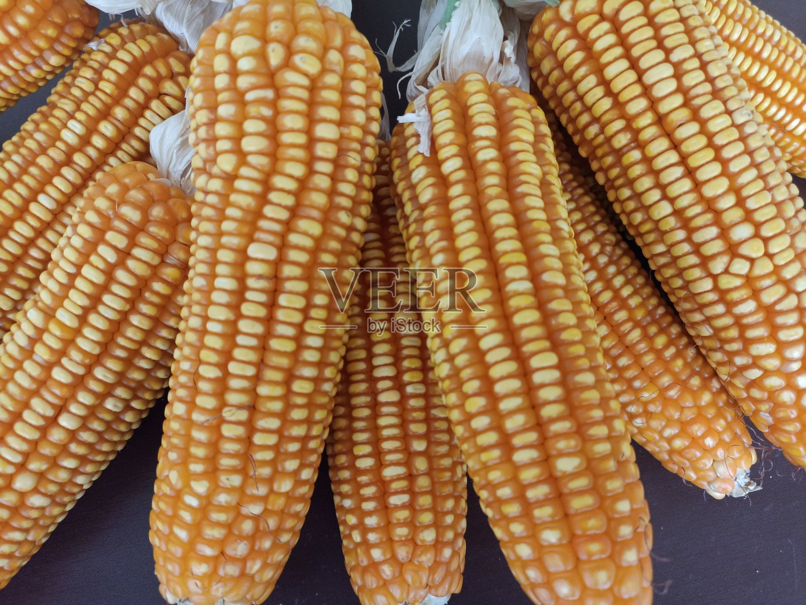 干玉米组照片摄影图片