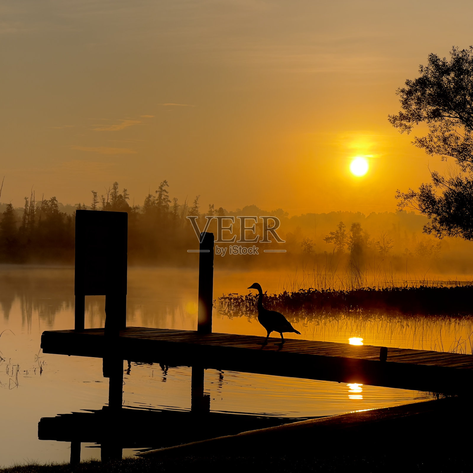 黎明照片摄影图片