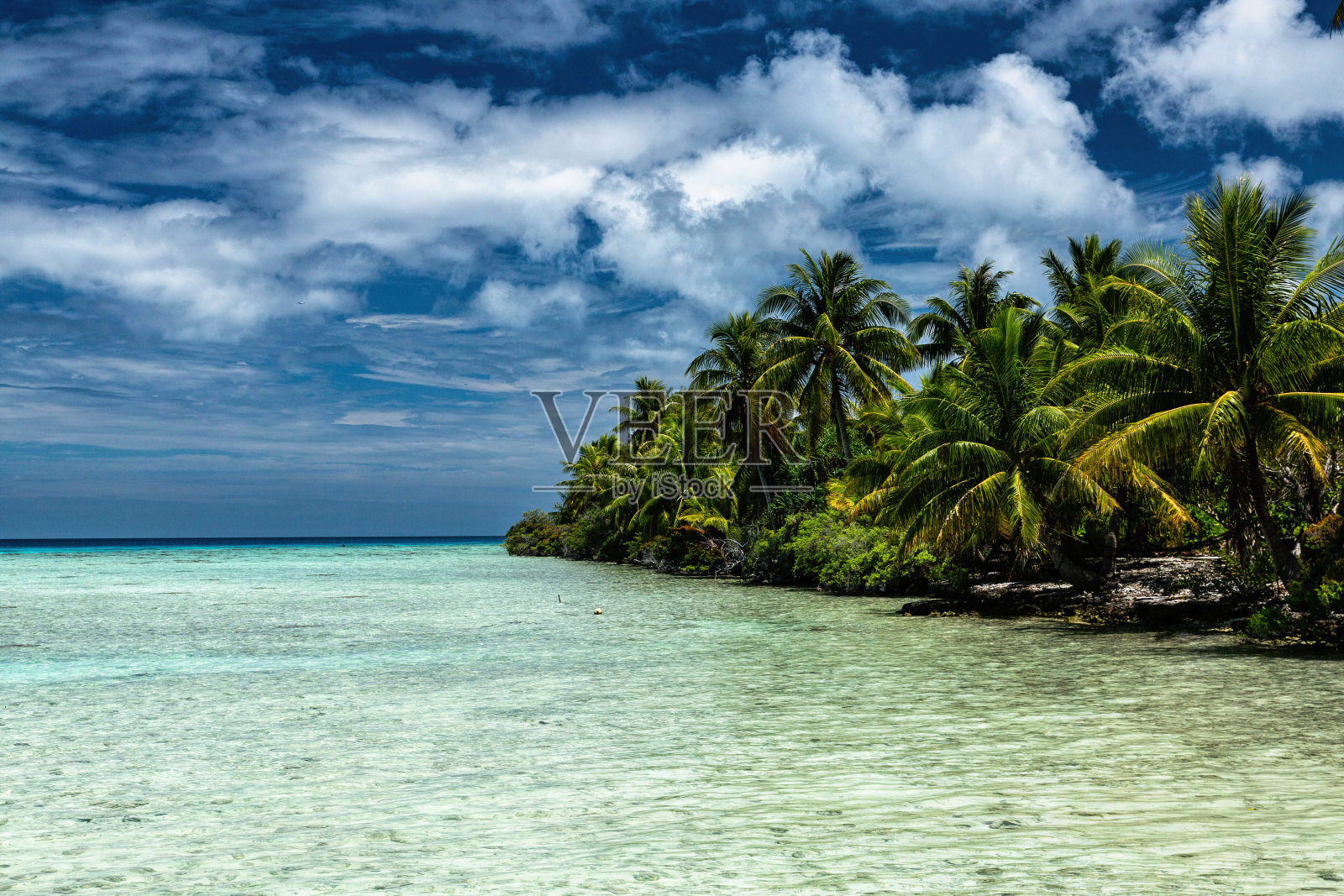 宁静的Rangaroa，法国波利尼西亚海滩度假与蓝天和椰子树照片摄影图片