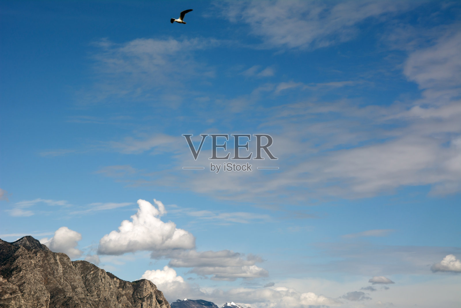 一只海鸥在蓝天白云的映衬下飞过群山照片摄影图片