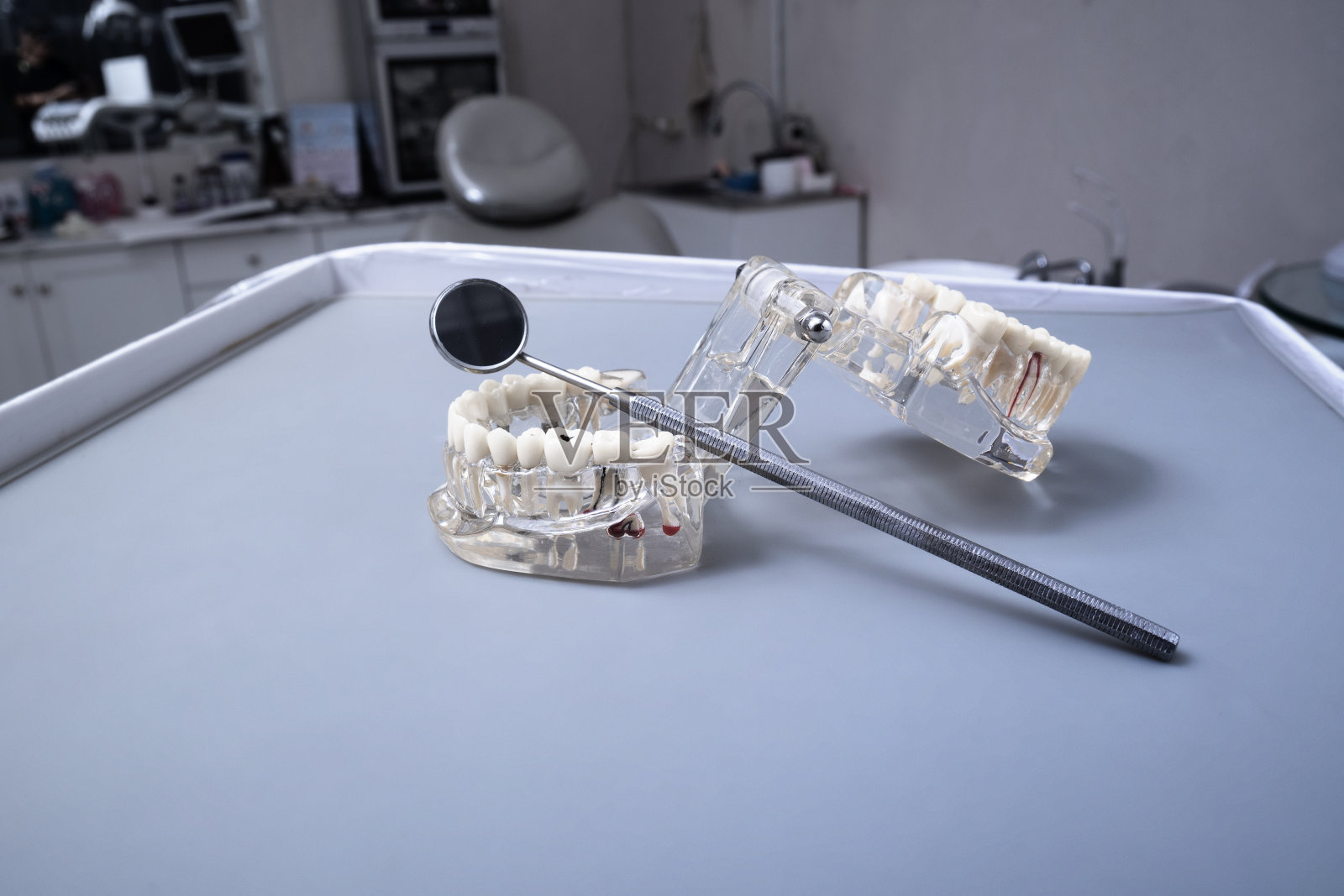 牙颌和牙工具模型照片摄影图片
