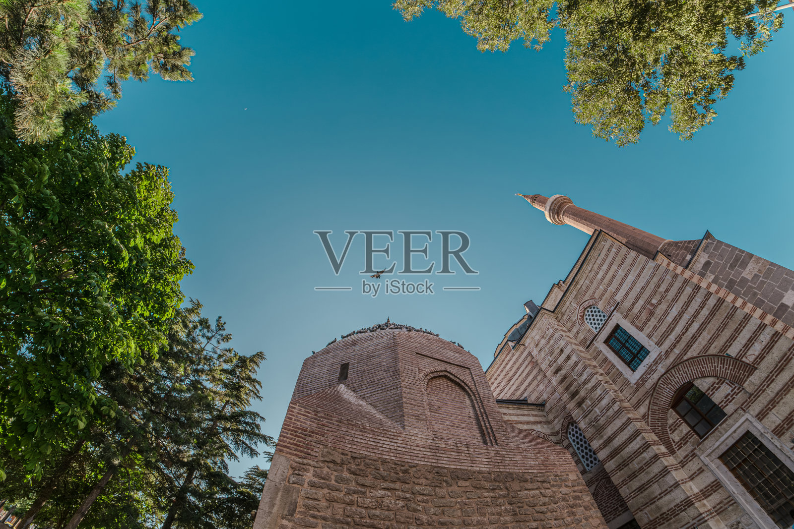 科尼亚塞拉菲丁清真寺的天空和鸟。鱼眼镜头的拍摄。照片摄影图片