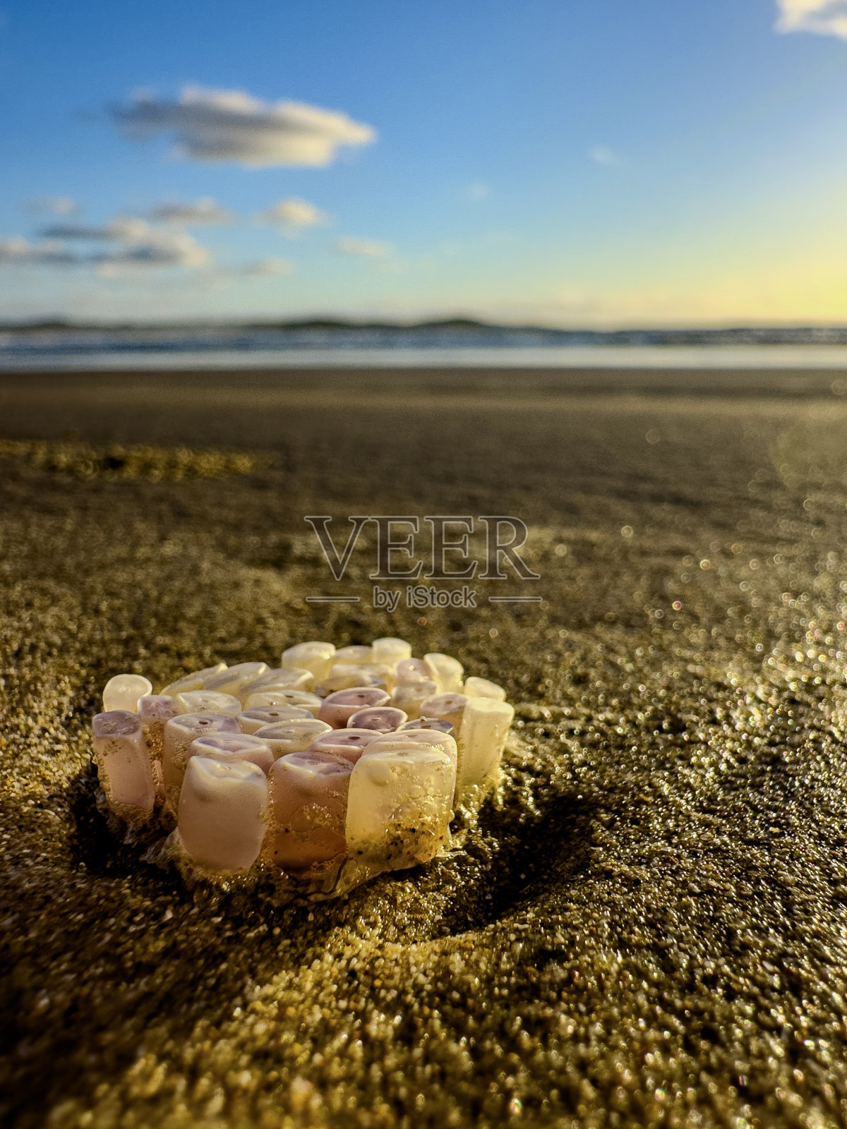 海滩照片摄影图片