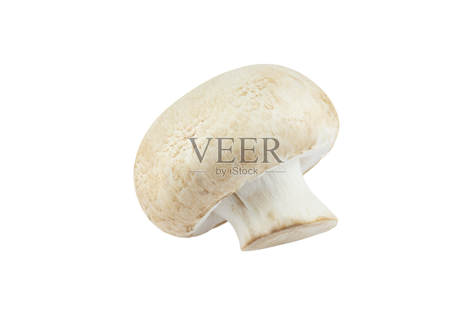 从背景中分离出来的香菇照片摄影图片