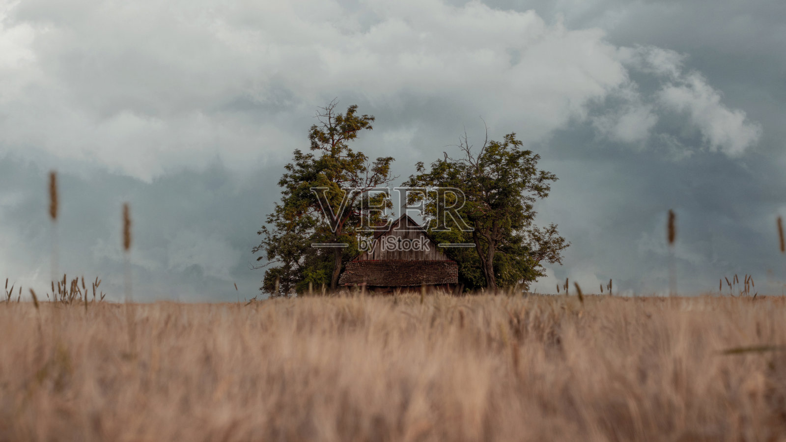 暴风雨的天空下，一座废弃的小农舍。麦田里的草原风暴照片摄影图片