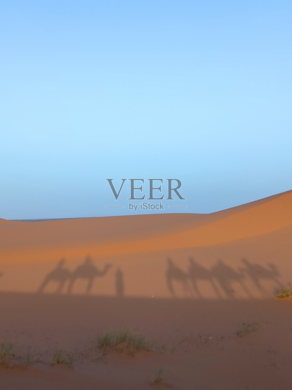 沙丘上的影子照片摄影图片