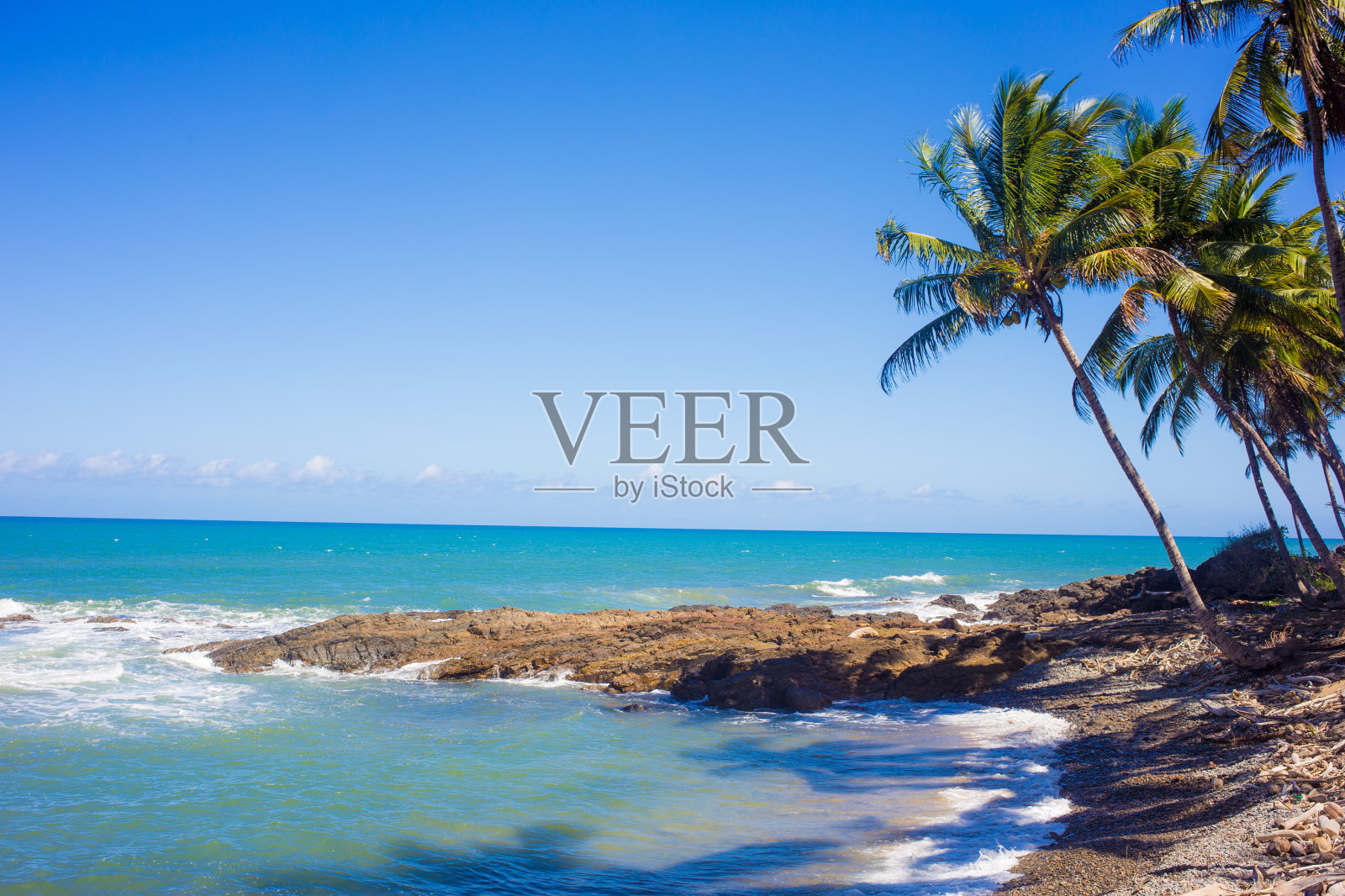 在石岛的椰子树和蓝色的大海为背景照片摄影图片